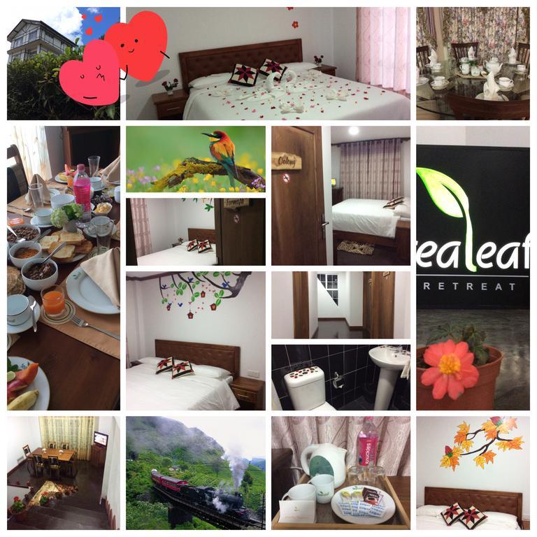 Tealeaf Bed & Breakfast Nuwara Eliya Exterior photo