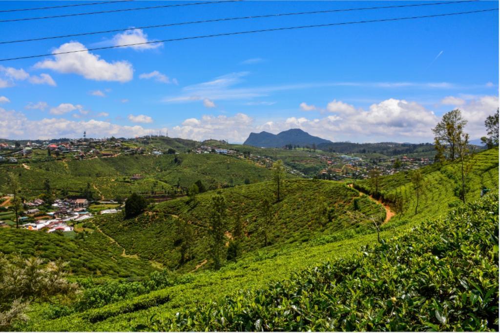 Tealeaf Bed & Breakfast Nuwara Eliya Exterior photo